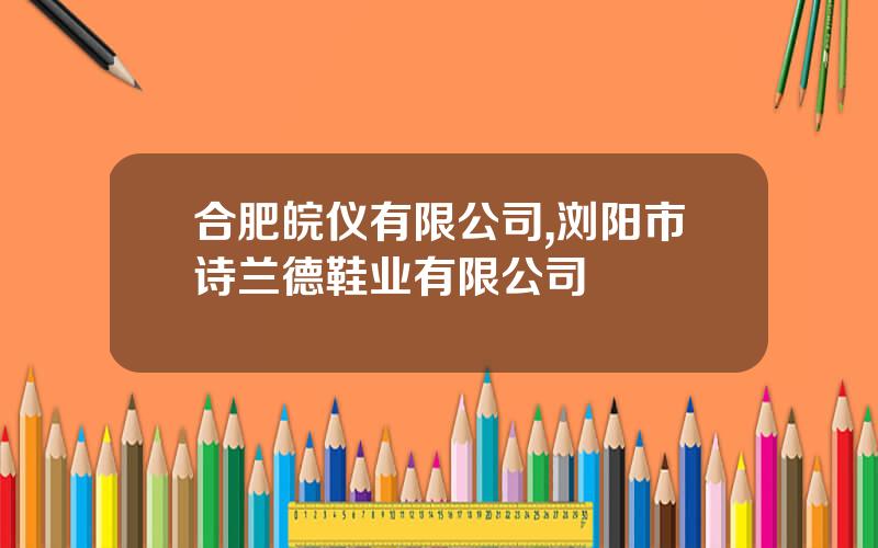 合肥皖仪有限公司,浏阳市诗兰德鞋业有限公司