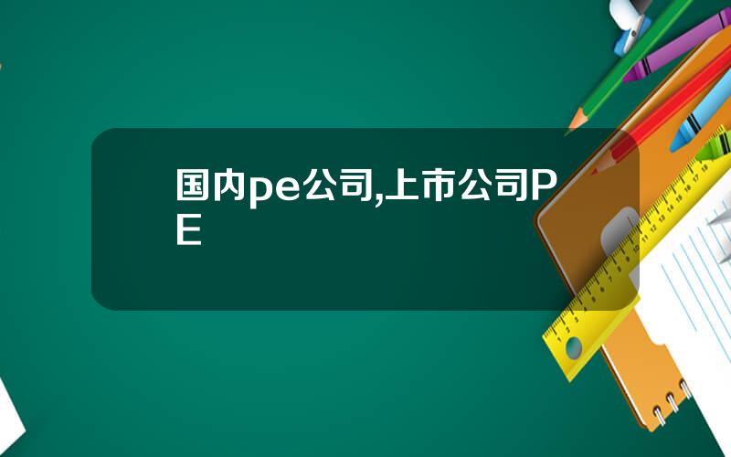 国内pe公司,上市公司PE