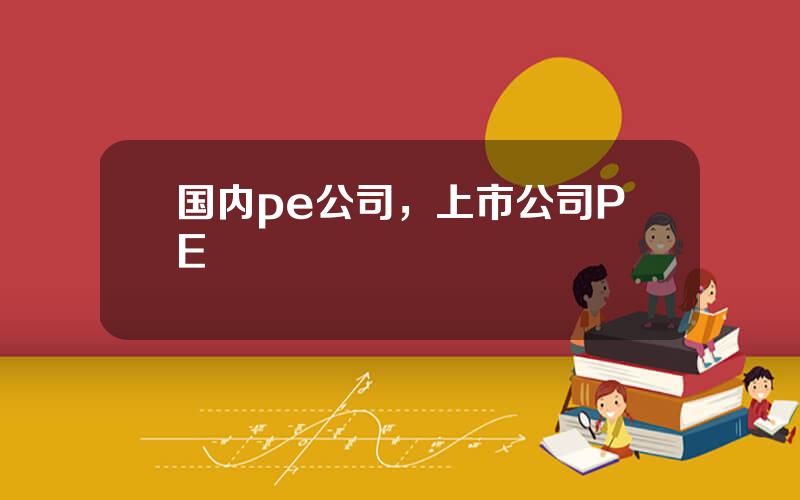 国内pe公司，上市公司PE
