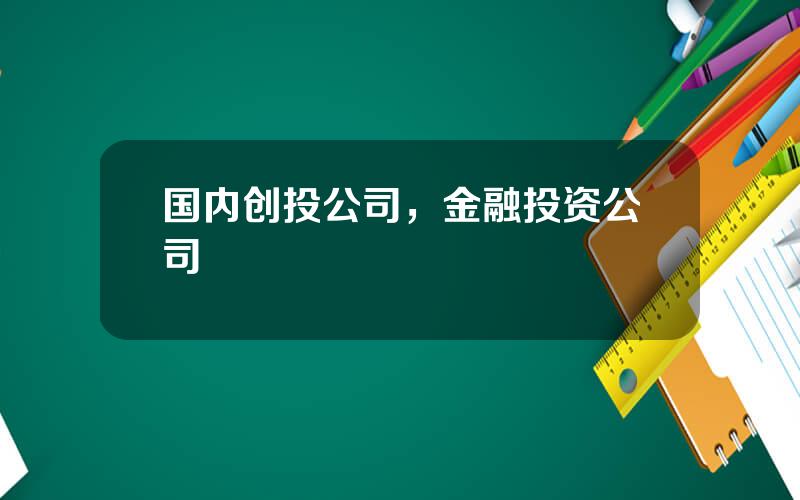 国内创投公司，金融投资公司