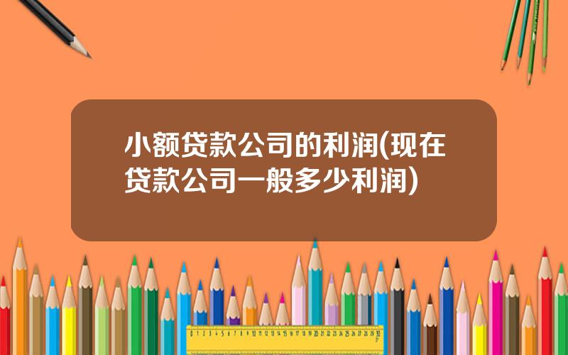小额贷款公司的利润(现在贷款公司一般多少利润)