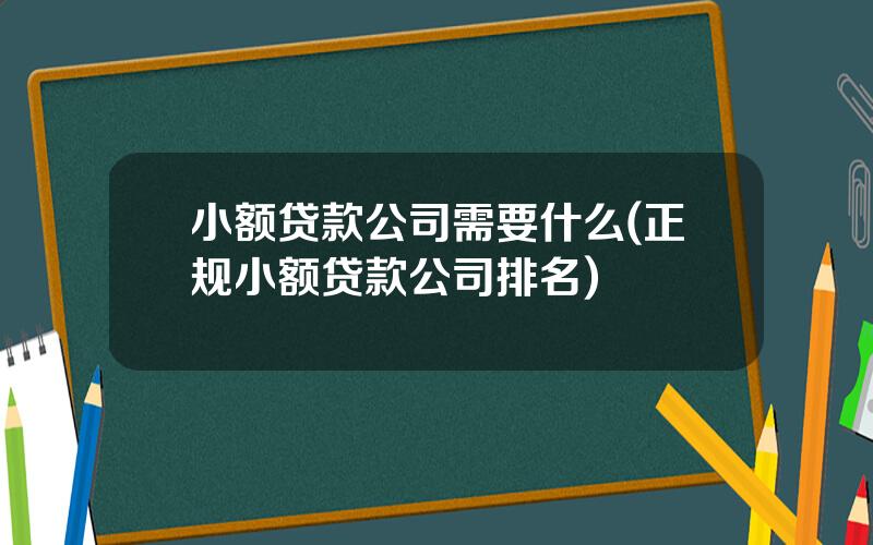 小额贷款公司需要什么(正规小额贷款公司排名)