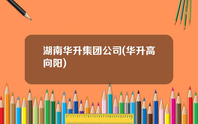 湖南华升集团公司(华升高向阳)