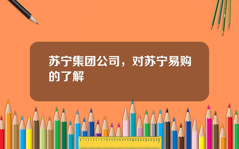 苏宁集团公司，对苏宁易购的了解